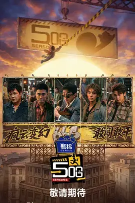 私人小影院综艺推荐城市漫游者海报